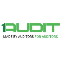 External Audit Application